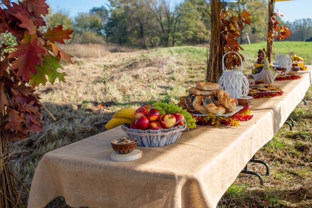 Catering wegetariański